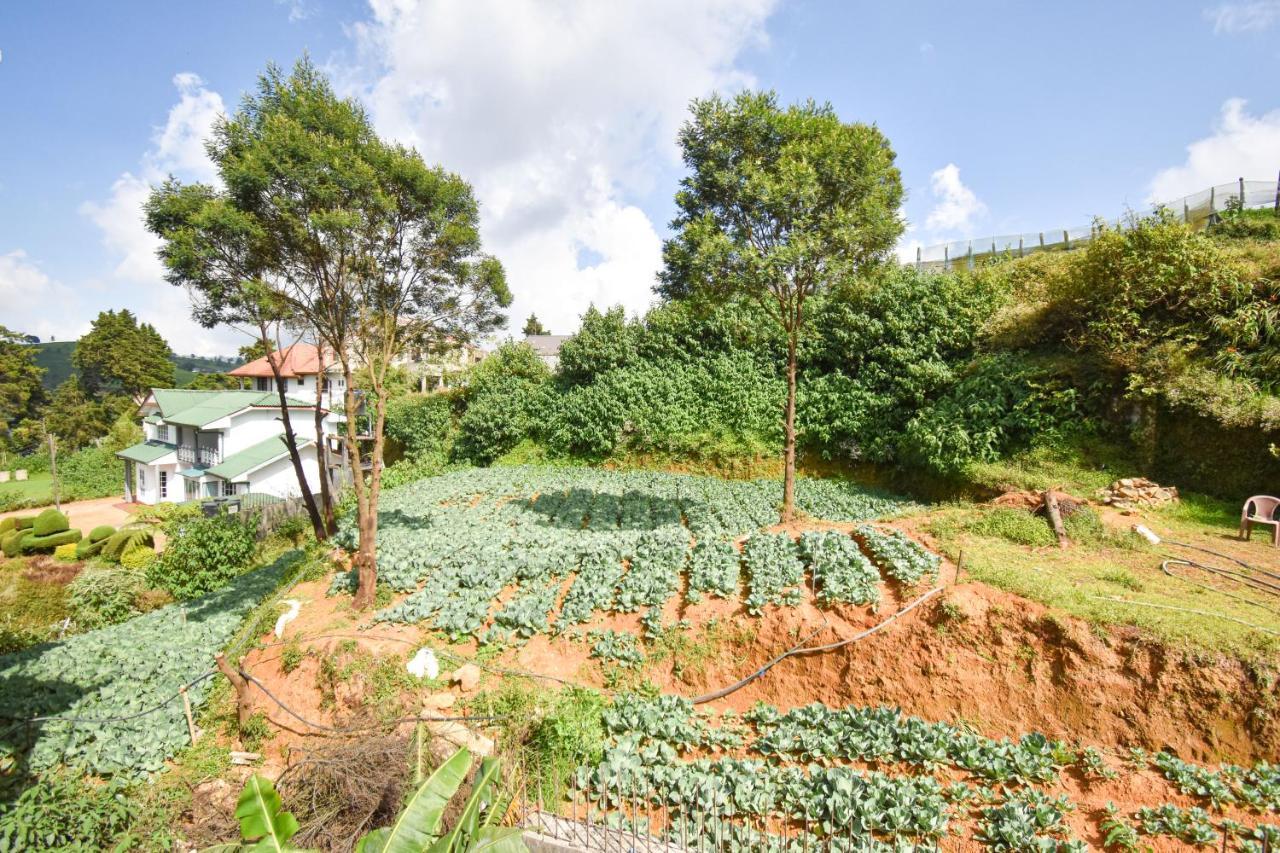 St. Anne Holiday Bunglow Nuwara Eliya Exterior photo